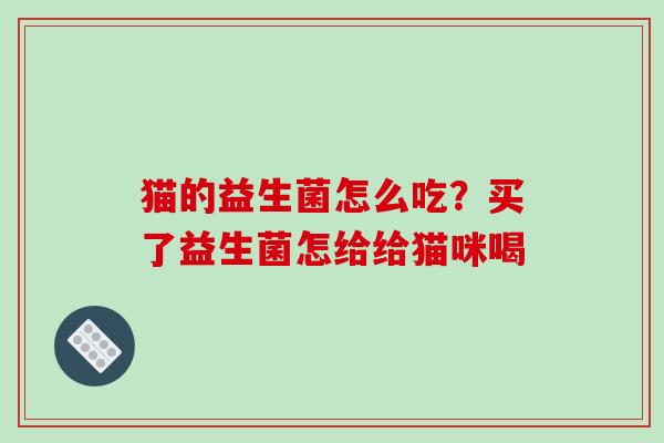 猫的益生菌怎么吃？买了益生菌怎给给猫咪喝