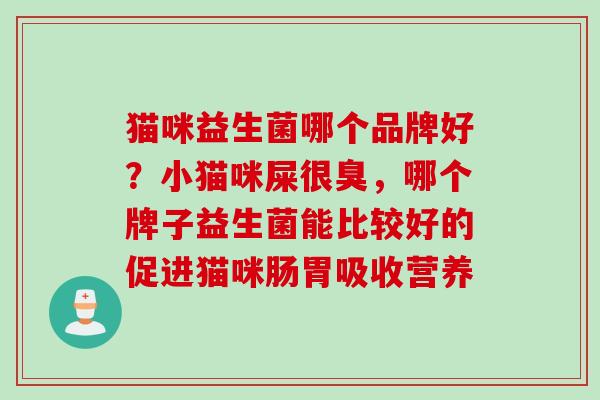 猫咪益生菌哪个品牌好？小猫咪屎很臭，哪个牌子益生菌能比较好的促进猫咪肠胃吸收营养