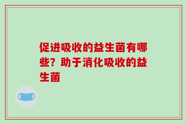 促进吸收的益生菌有哪些？助于消化吸收的益生菌