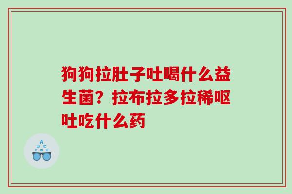 狗狗拉肚子吐喝什么益生菌？拉布拉多拉稀吃什么药