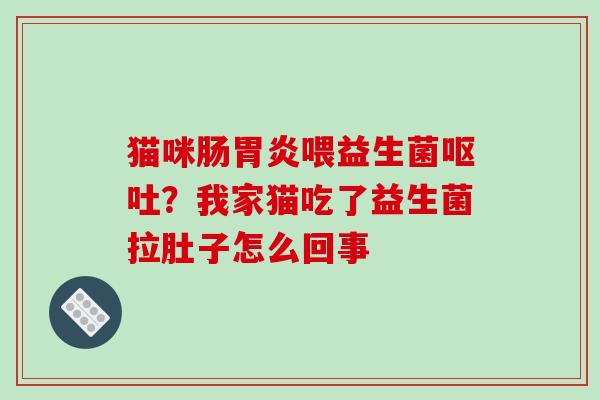猫咪肠胃炎喂益生菌呕吐？我家猫吃了益生菌拉肚子怎么回事