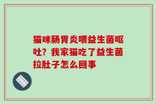 猫咪肠喂益生菌？我家猫吃了益生菌拉肚子怎么回事