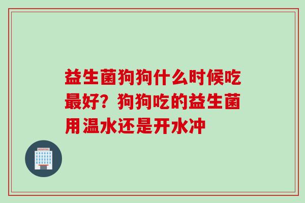 益生菌狗狗什么时候吃好？狗狗吃的益生菌用温水还是开水冲