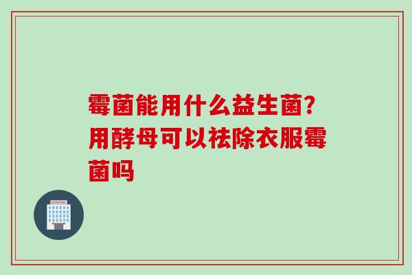 霉菌能用什么益生菌？用酵母可以祛除衣服霉菌吗