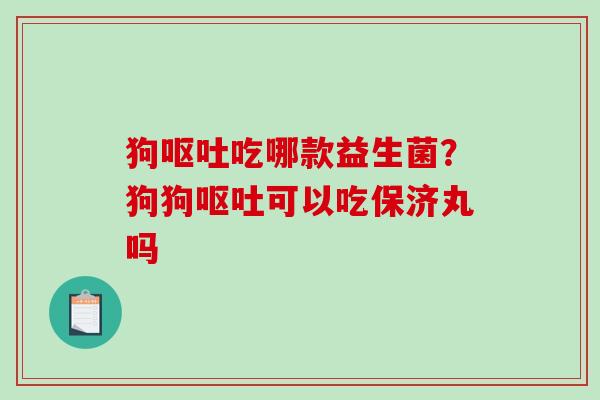 狗吃哪款益生菌？狗狗可以吃保济丸吗