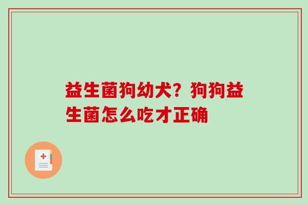 益生菌狗幼犬？狗狗益生菌怎么吃才正确