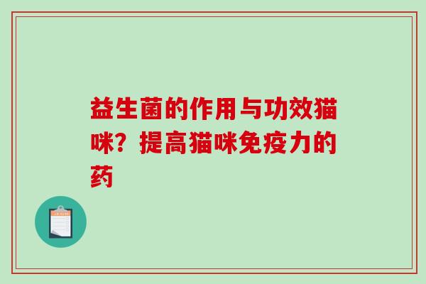 益生菌的作用与功效猫咪？提高猫咪力的药