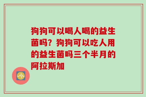 狗狗可以喝人喝的益生菌吗？狗狗可以吃人用的益生菌吗三个半月的阿拉斯加