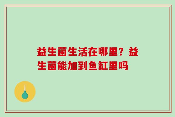 益生菌生活在哪里？益生菌能加到鱼缸里吗