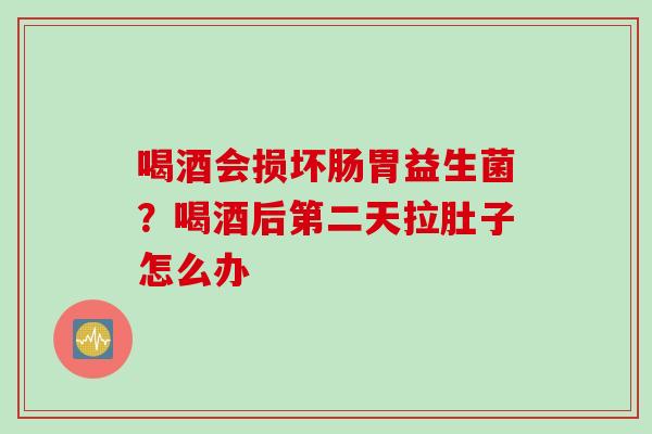 喝酒会损坏肠胃益生菌？喝酒后第二天拉肚子怎么办