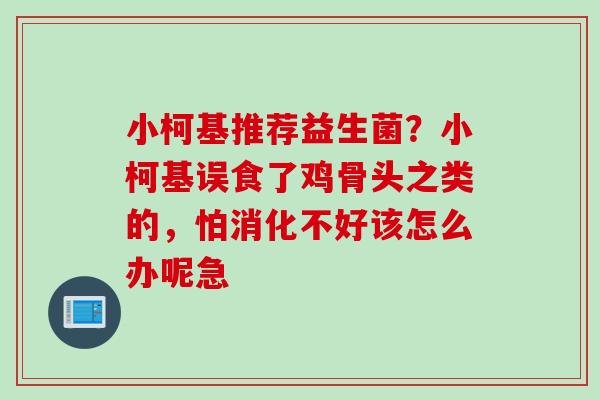 小柯基推荐益生菌？小柯基误食了鸡骨头之类的，怕消化不好该怎么办呢急