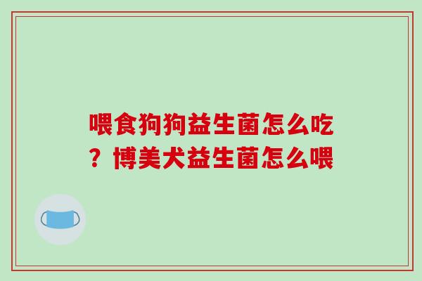 喂食狗狗益生菌怎么吃？博美犬益生菌怎么喂