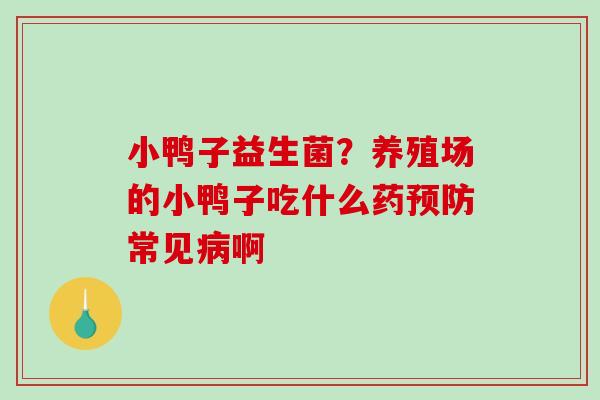 小鸭子益生菌？养殖场的小鸭子吃什么药预防常见病啊