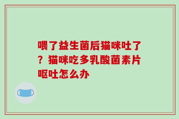 喂了益生菌后猫咪吐了？猫咪吃多乳酸菌素片呕吐怎么办