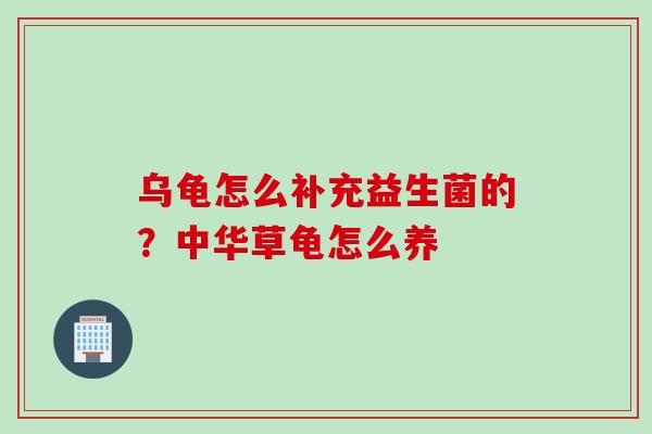 乌龟怎么补充益生菌的？中华草龟怎么养
