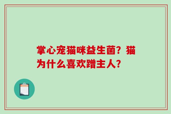 掌心宠猫咪益生菌？猫为什么喜欢蹭主人？