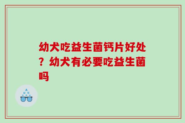 幼犬吃益生菌钙片好处？幼犬有必要吃益生菌吗