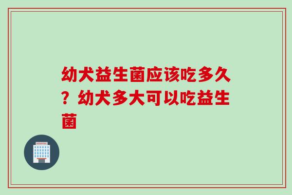 幼犬益生菌应该吃多久？幼犬多大可以吃益生菌