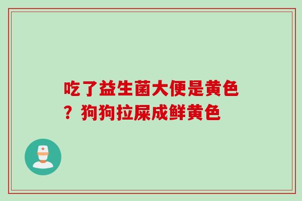 吃了益生菌大便是黄色？狗狗拉屎成鲜黄色