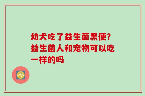 幼犬吃了益生菌黑便？益生菌人和宠物可以吃一样的吗