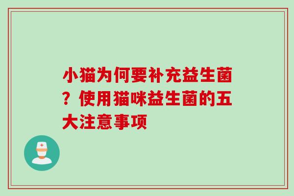 小猫为何要补充益生菌？使用猫咪益生菌的五大注意事项