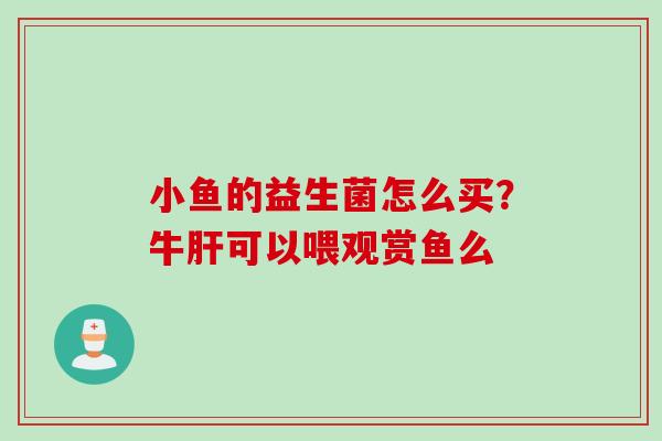 小鱼的益生菌怎么买？牛可以喂观赏鱼么