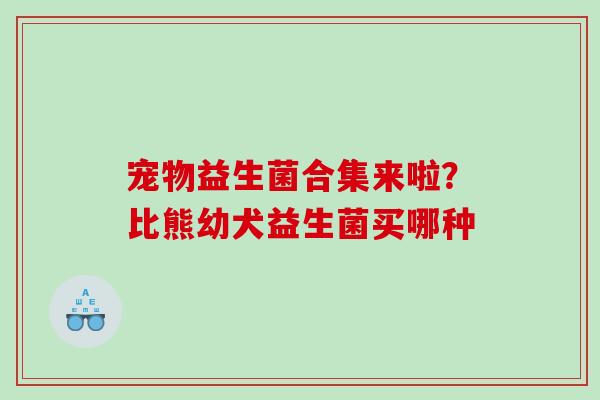宠物益生菌合集来啦？比熊幼犬益生菌买哪种