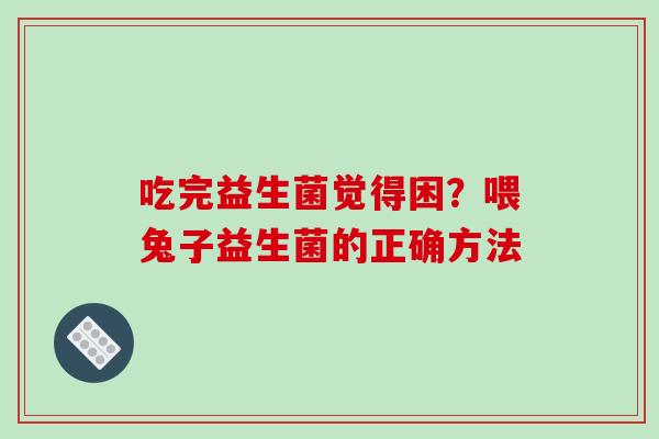 吃完益生菌觉得困？喂兔子益生菌的正确方法