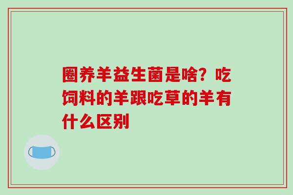 圈养羊益生菌是啥？吃饲料的羊跟吃草的羊有什么区别