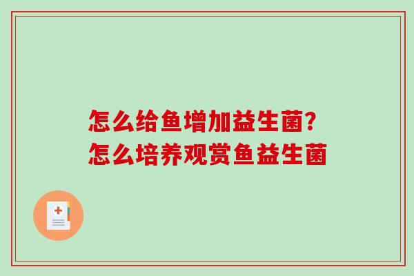 怎么给鱼增加益生菌？怎么培养观赏鱼益生菌