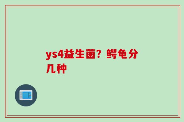 ys4益生菌？鳄龟分几种