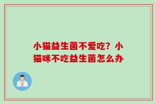 小猫益生菌不爱吃？小猫咪不吃益生菌怎么办