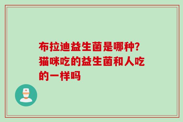布拉迪益生菌是哪种？猫咪吃的益生菌和人吃的一样吗