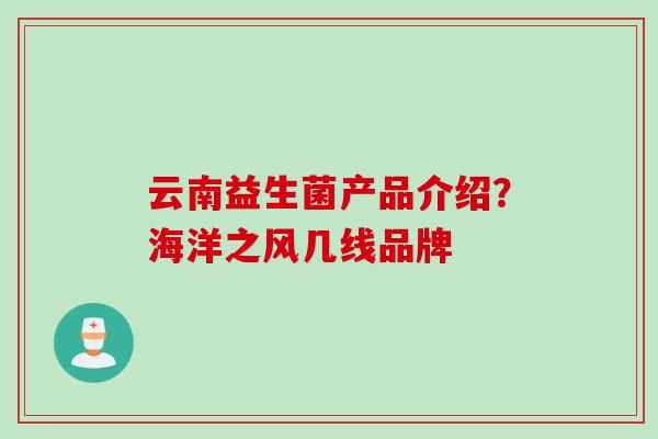 云南益生菌产品介绍？海洋之风几线品牌