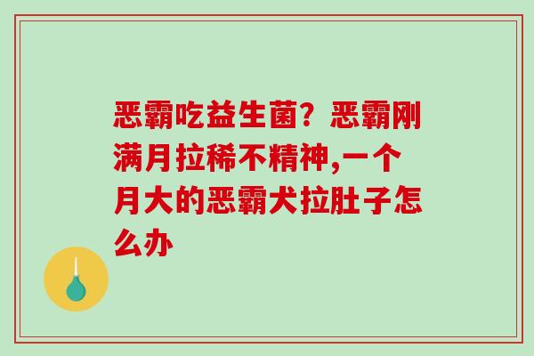 恶霸吃益生菌？恶霸刚满月拉稀不精神,一个月大的恶霸犬拉肚子怎么办