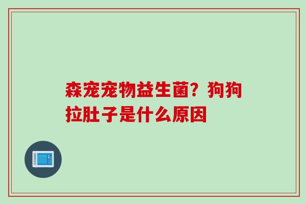 森宠宠物益生菌？狗狗拉肚子是什么原因