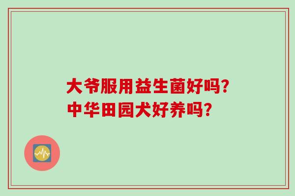 大爷服用益生菌好吗？中华田园犬好养吗？