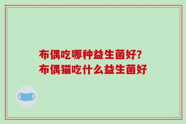 布偶吃哪种益生菌好？布偶猫吃什么益生菌好