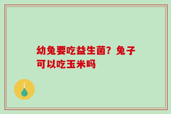 幼兔要吃益生菌？兔子可以吃玉米吗
