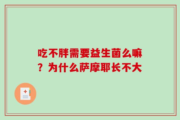 吃不胖需要益生菌么嘛？为什么萨摩耶长不大