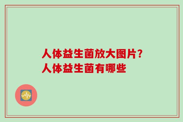 人体益生菌放大图片？人体益生菌有哪些