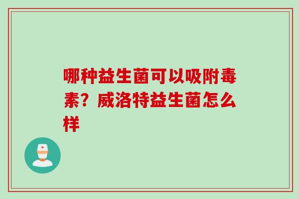 哪种益生菌可以吸附毒素？威洛特益生菌怎么样