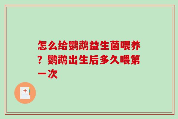 怎么给鹦鹉益生菌喂养？鹦鹉出生后多久喂第一次