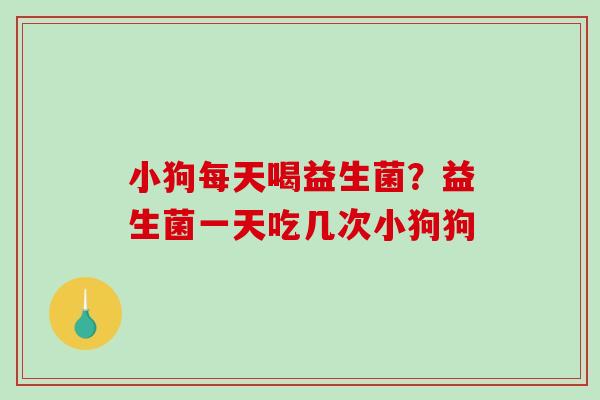 小狗每天喝益生菌？益生菌一天吃几次小狗狗