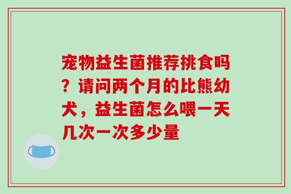 宠物益生菌推荐挑食吗？请问两个月的比熊幼犬，益生菌怎么喂一天几次一次多少量