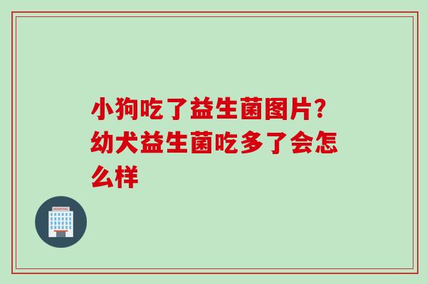 小狗吃了益生菌图片？幼犬益生菌吃多了会怎么样