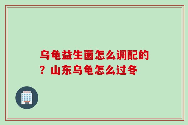 乌龟益生菌怎么调配的？山东乌龟怎么过冬