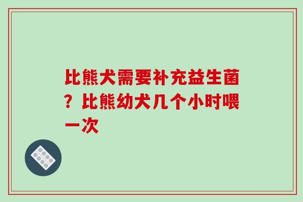 比熊犬需要补充益生菌？比熊幼犬几个小时喂一次