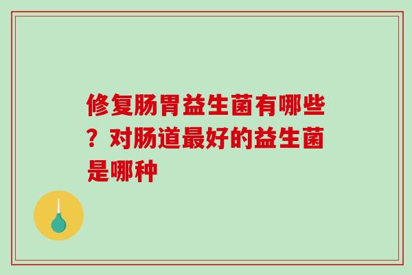 修复肠胃益生菌有哪些？对肠道好的益生菌是哪种