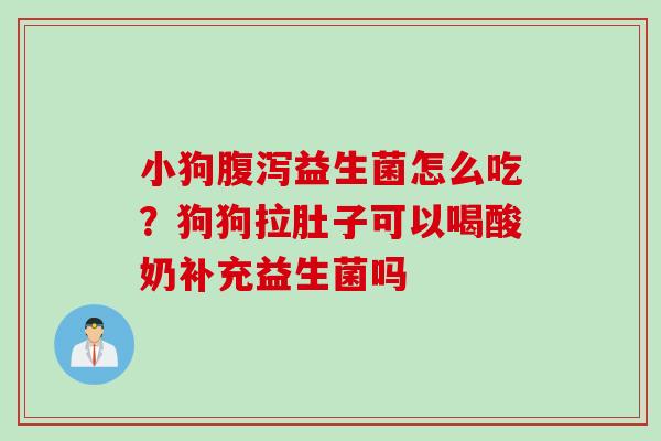 小狗腹泻益生菌怎么吃？狗狗拉肚子可以喝酸奶补充益生菌吗
